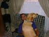 Barney05.JPG (64084 bytes)