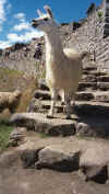 Peru/012_12.jpg (45342 bytes)