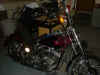 DSCF0011.jpg (60156 bytes)